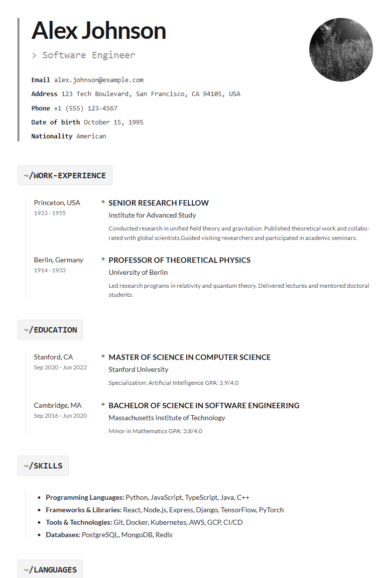 Software Engineer CV preview