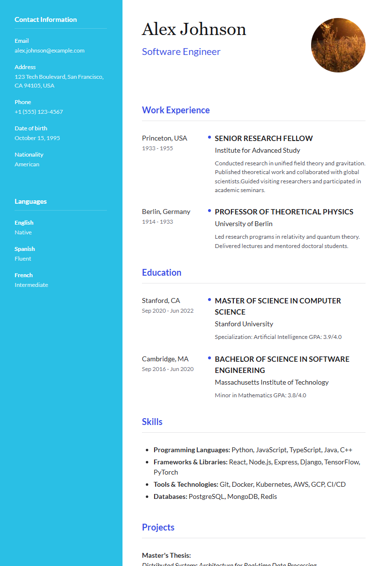 Data Analyst CV preview