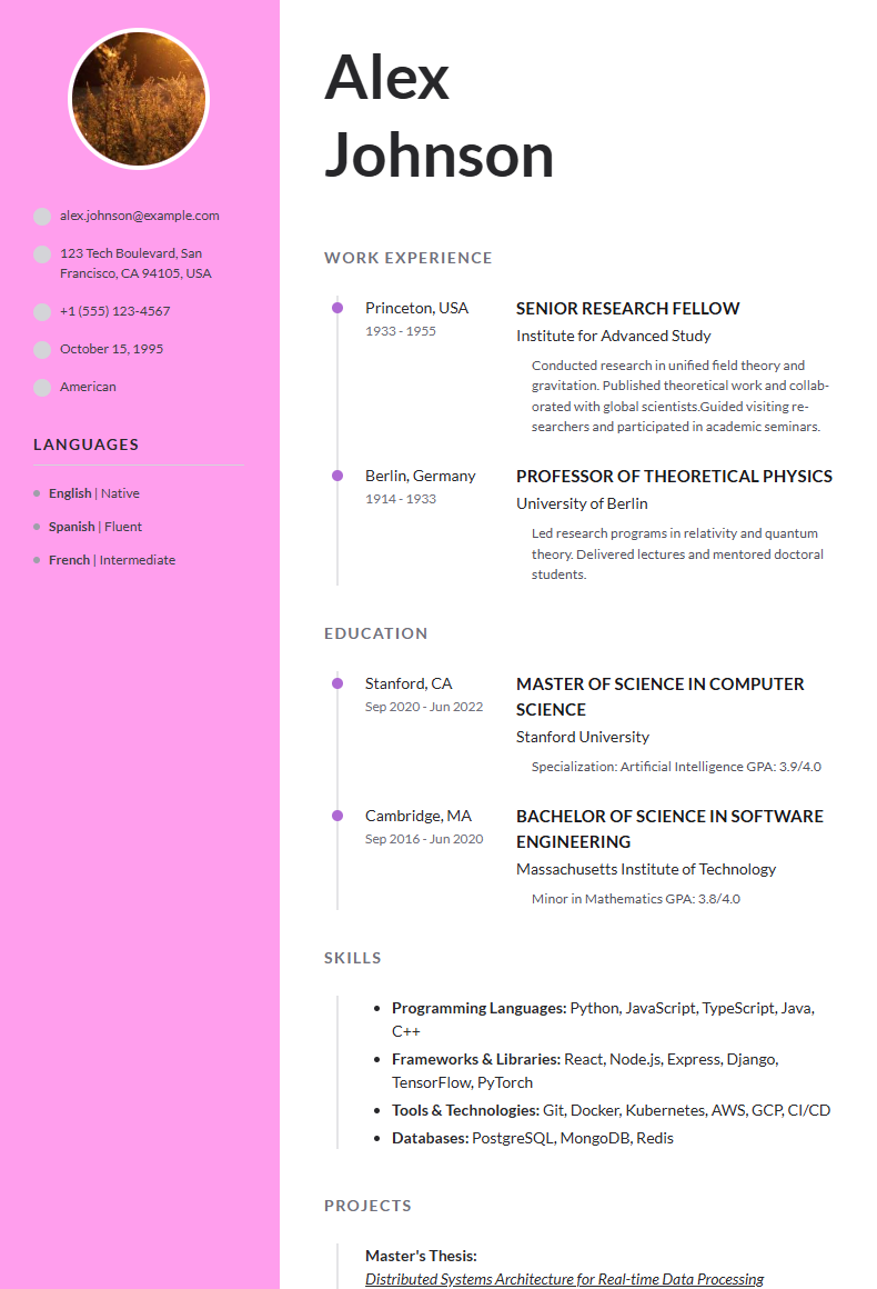 Project Manager CV preview